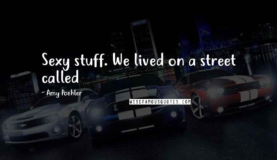 Amy Poehler Quotes: Sexy stuff. We lived on a street called