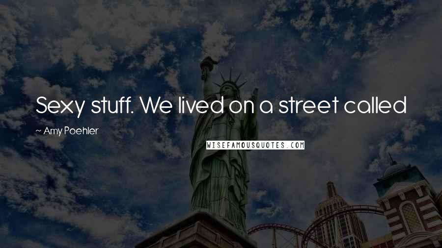 Amy Poehler Quotes: Sexy stuff. We lived on a street called