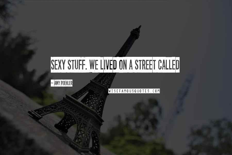 Amy Poehler Quotes: Sexy stuff. We lived on a street called
