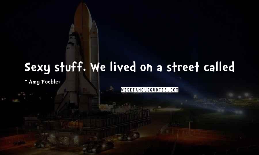 Amy Poehler Quotes: Sexy stuff. We lived on a street called