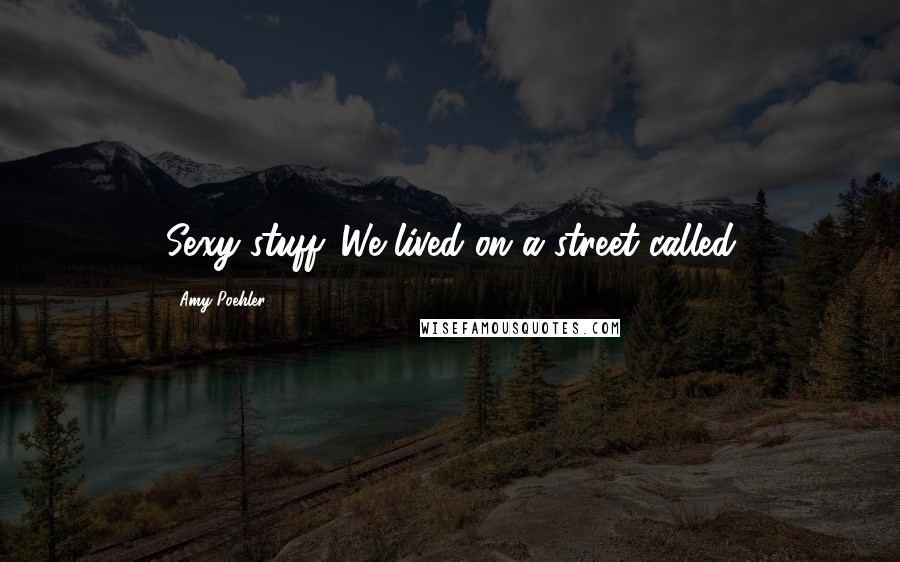 Amy Poehler Quotes: Sexy stuff. We lived on a street called