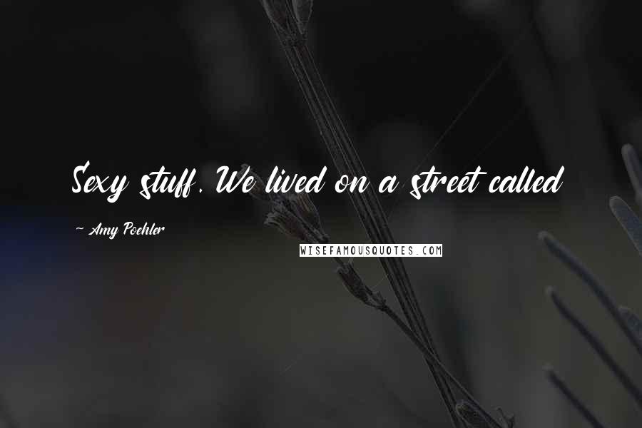 Amy Poehler Quotes: Sexy stuff. We lived on a street called