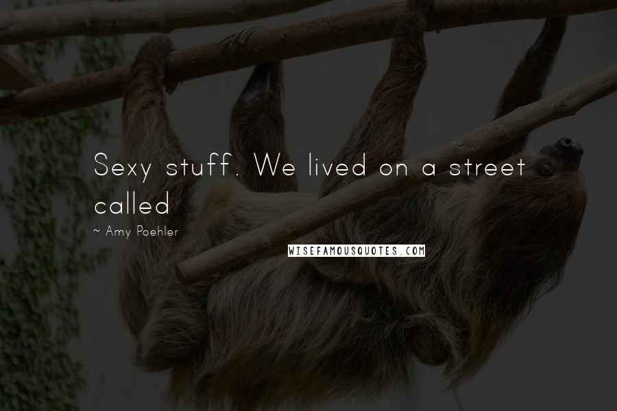 Amy Poehler Quotes: Sexy stuff. We lived on a street called