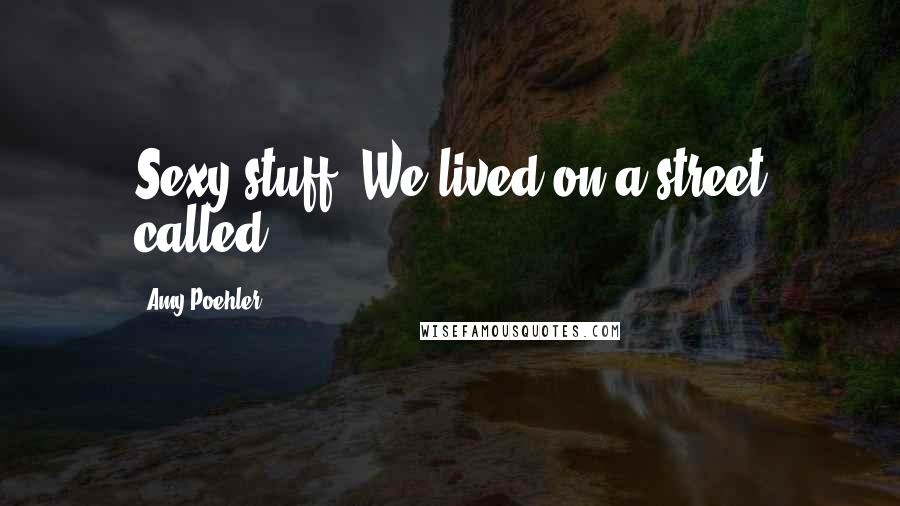 Amy Poehler Quotes: Sexy stuff. We lived on a street called