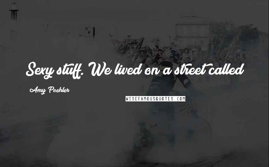 Amy Poehler Quotes: Sexy stuff. We lived on a street called