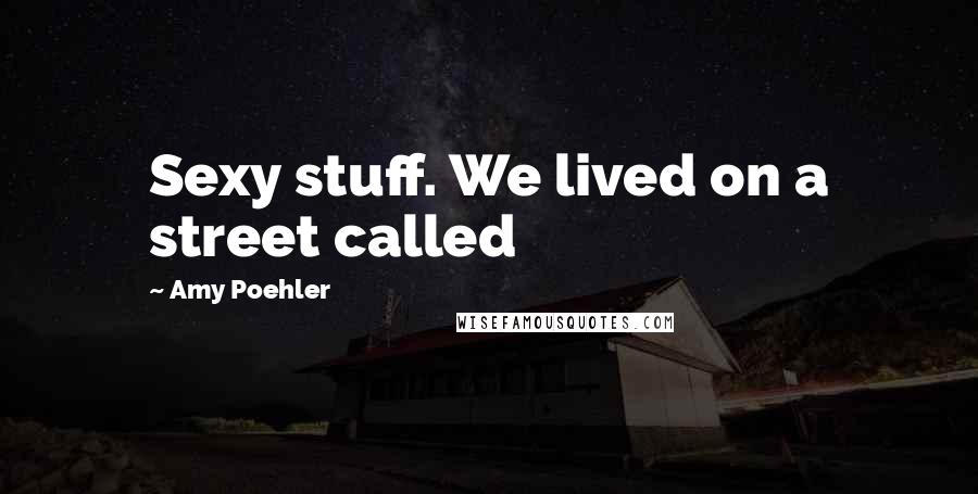 Amy Poehler Quotes: Sexy stuff. We lived on a street called
