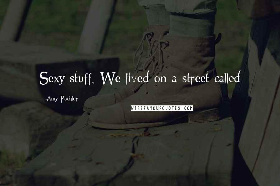 Amy Poehler Quotes: Sexy stuff. We lived on a street called