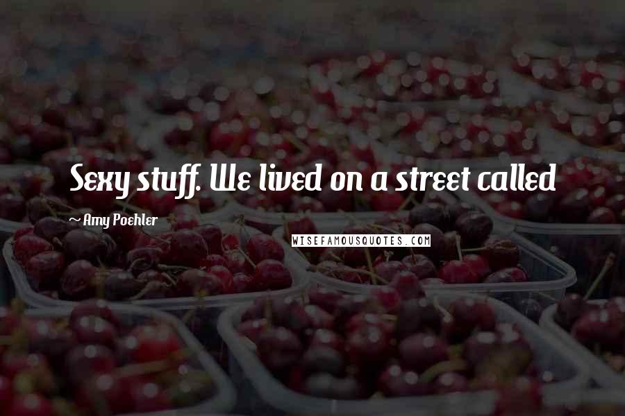 Amy Poehler Quotes: Sexy stuff. We lived on a street called