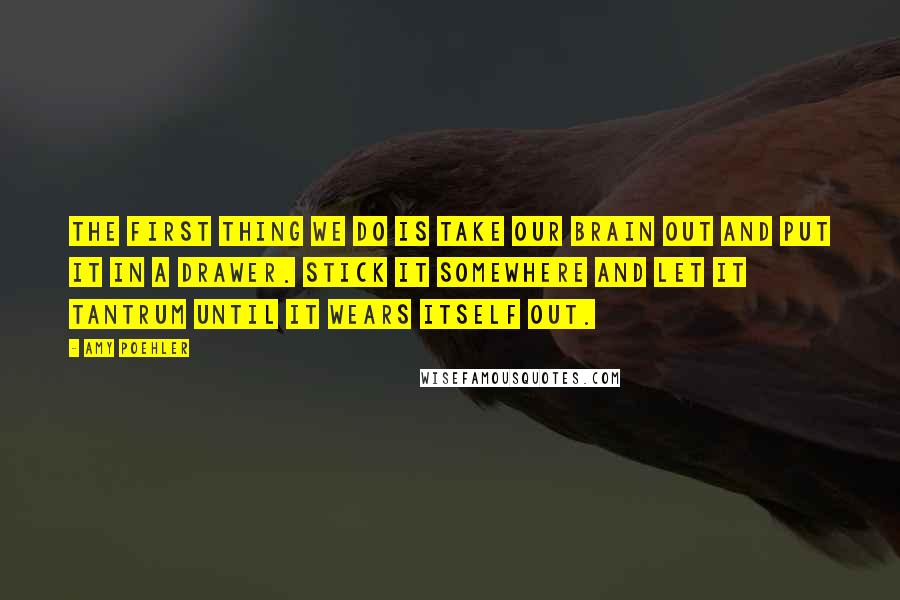 Amy Poehler Quotes: the first thing we do is take our brain out and put it in a drawer. Stick it somewhere and let it tantrum until it wears itself out.