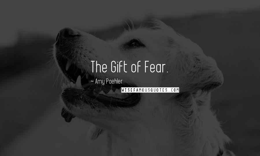 Amy Poehler Quotes: The Gift of Fear.