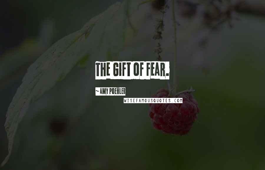 Amy Poehler Quotes: The Gift of Fear.