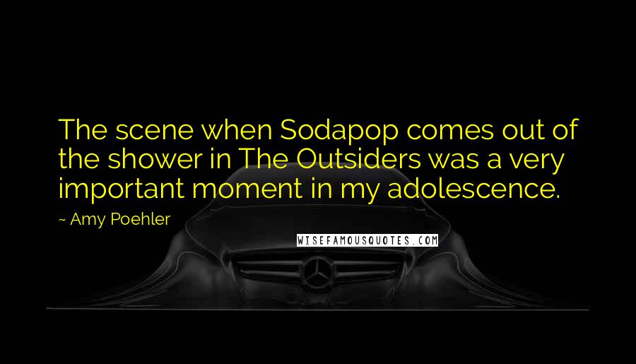 Amy Poehler Quotes: The scene when Sodapop comes out of the shower in The Outsiders was a very important moment in my adolescence.