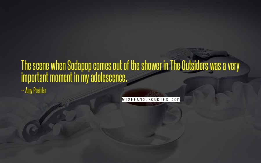 Amy Poehler Quotes: The scene when Sodapop comes out of the shower in The Outsiders was a very important moment in my adolescence.