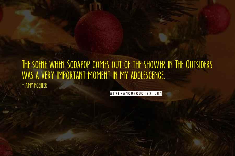 Amy Poehler Quotes: The scene when Sodapop comes out of the shower in The Outsiders was a very important moment in my adolescence.