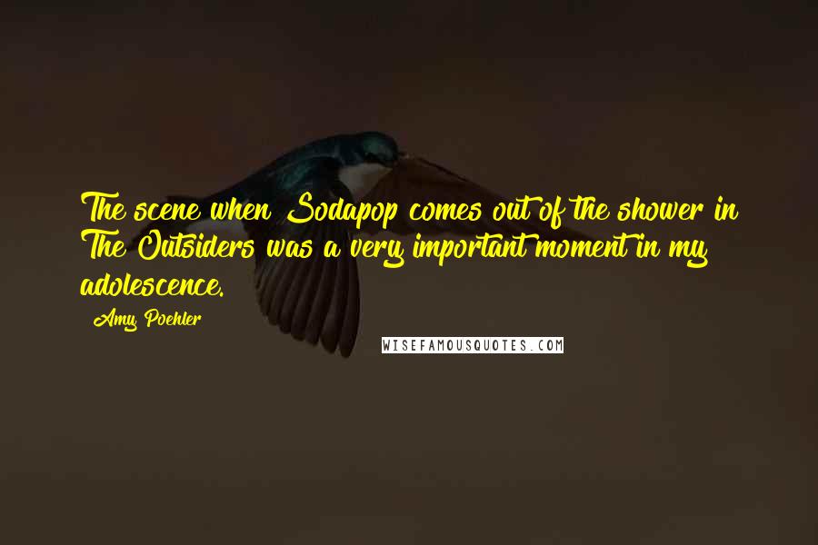 Amy Poehler Quotes: The scene when Sodapop comes out of the shower in The Outsiders was a very important moment in my adolescence.