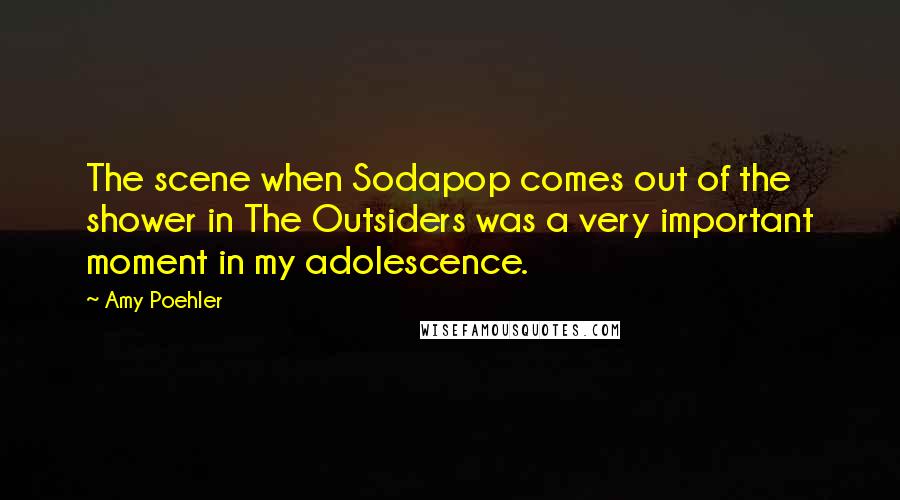Amy Poehler Quotes: The scene when Sodapop comes out of the shower in The Outsiders was a very important moment in my adolescence.
