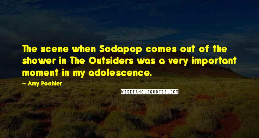 Amy Poehler Quotes: The scene when Sodapop comes out of the shower in The Outsiders was a very important moment in my adolescence.