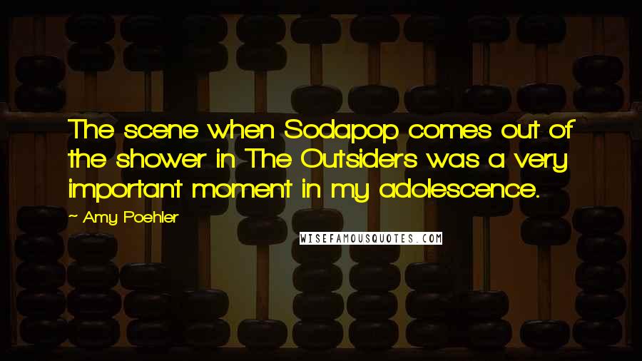 Amy Poehler Quotes: The scene when Sodapop comes out of the shower in The Outsiders was a very important moment in my adolescence.