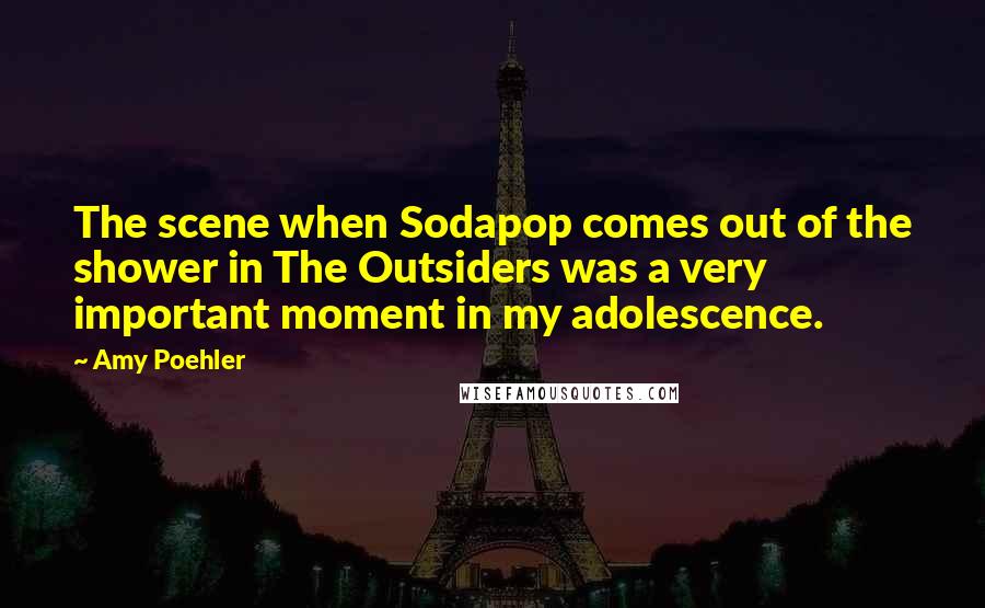Amy Poehler Quotes: The scene when Sodapop comes out of the shower in The Outsiders was a very important moment in my adolescence.