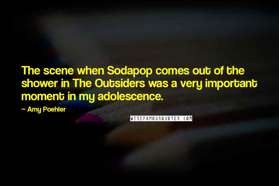 Amy Poehler Quotes: The scene when Sodapop comes out of the shower in The Outsiders was a very important moment in my adolescence.
