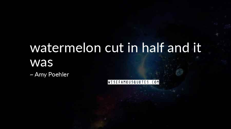 Amy Poehler Quotes: watermelon cut in half and it was