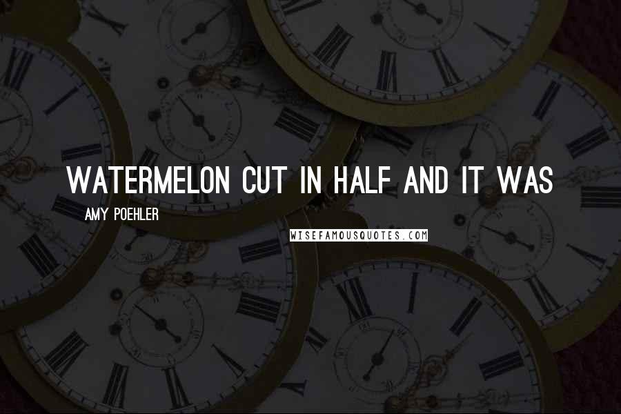 Amy Poehler Quotes: watermelon cut in half and it was