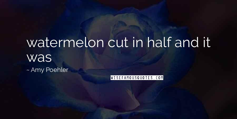 Amy Poehler Quotes: watermelon cut in half and it was