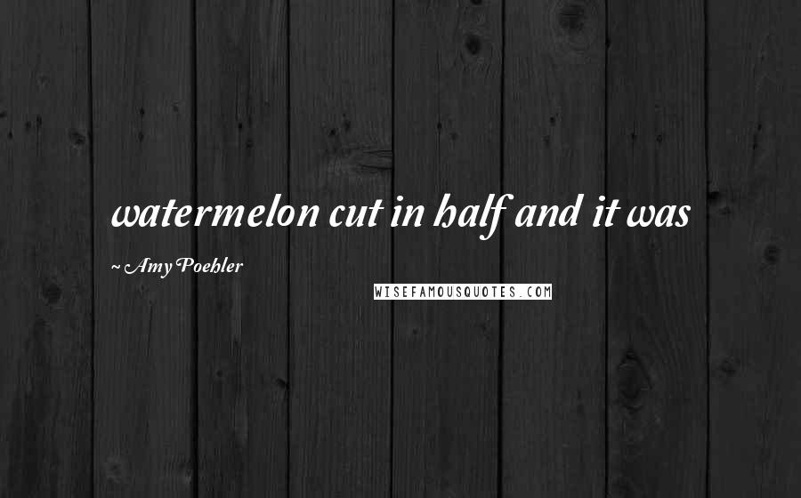 Amy Poehler Quotes: watermelon cut in half and it was