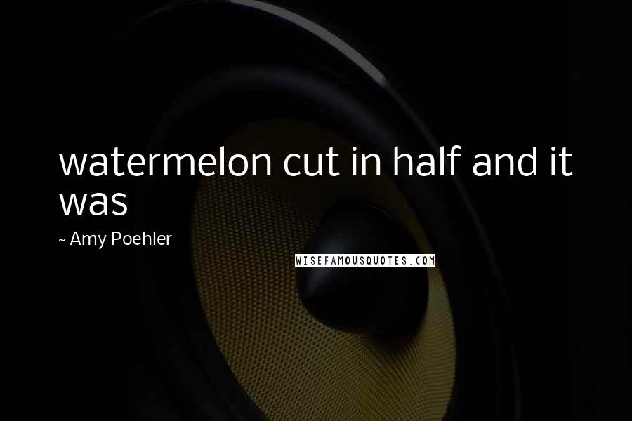 Amy Poehler Quotes: watermelon cut in half and it was