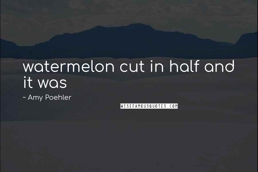 Amy Poehler Quotes: watermelon cut in half and it was