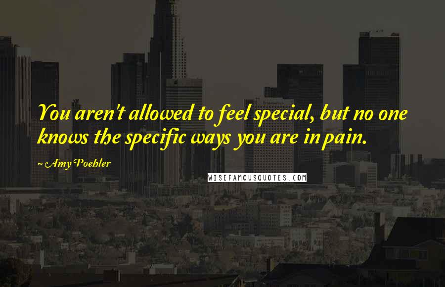 Amy Poehler Quotes: You aren't allowed to feel special, but no one knows the specific ways you are in pain.