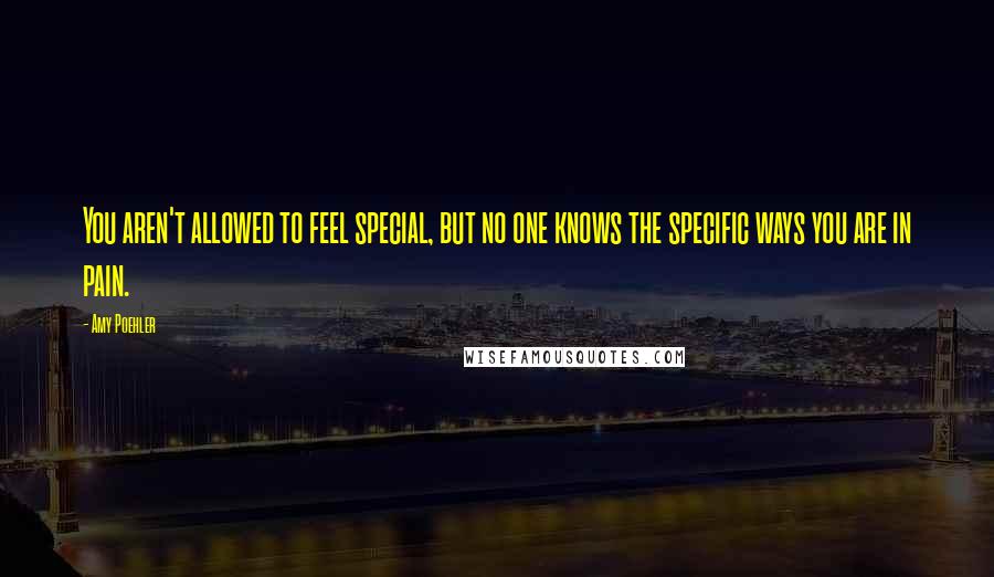 Amy Poehler Quotes: You aren't allowed to feel special, but no one knows the specific ways you are in pain.