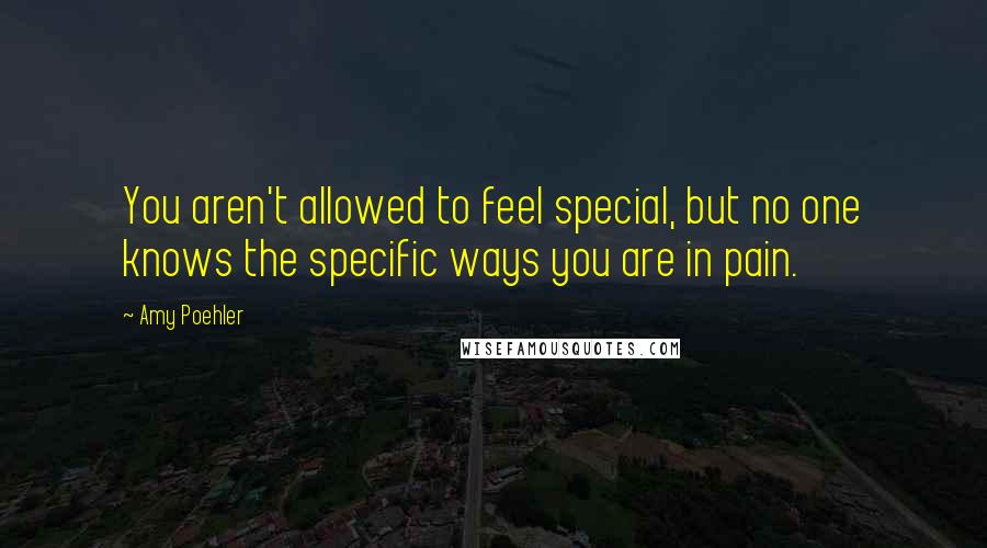 Amy Poehler Quotes: You aren't allowed to feel special, but no one knows the specific ways you are in pain.