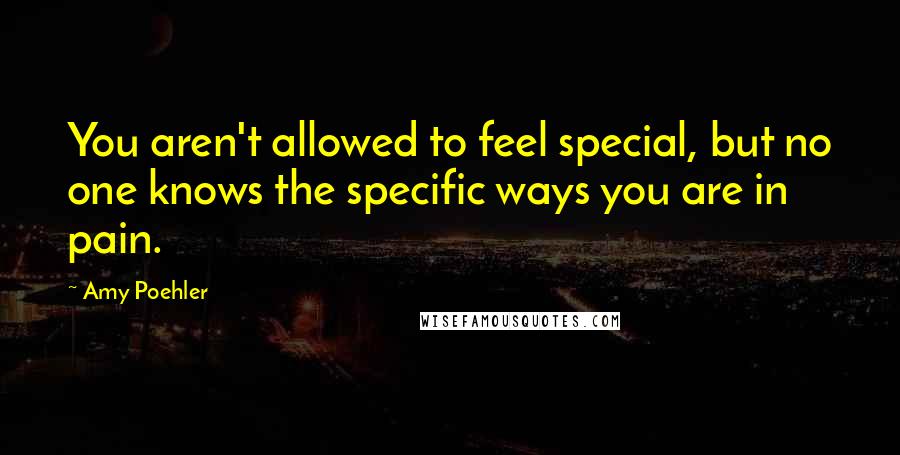 Amy Poehler Quotes: You aren't allowed to feel special, but no one knows the specific ways you are in pain.