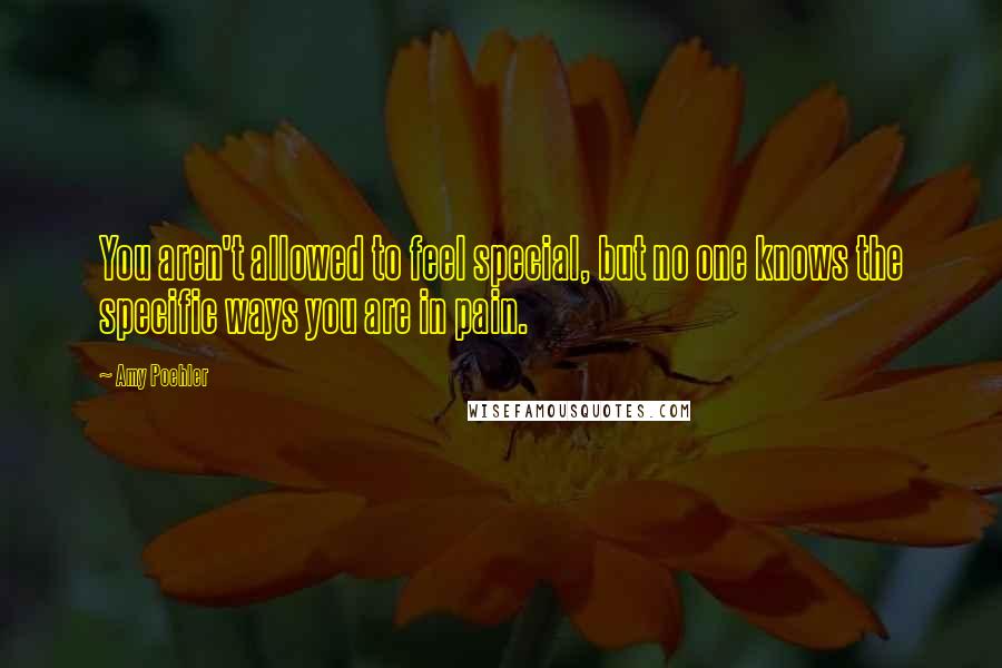 Amy Poehler Quotes: You aren't allowed to feel special, but no one knows the specific ways you are in pain.