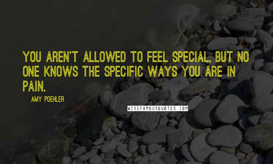 Amy Poehler Quotes: You aren't allowed to feel special, but no one knows the specific ways you are in pain.