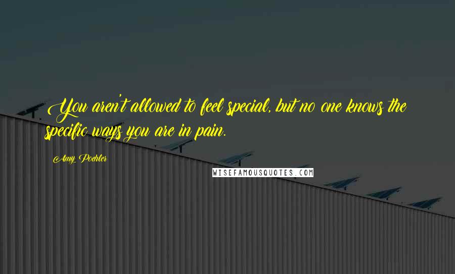 Amy Poehler Quotes: You aren't allowed to feel special, but no one knows the specific ways you are in pain.