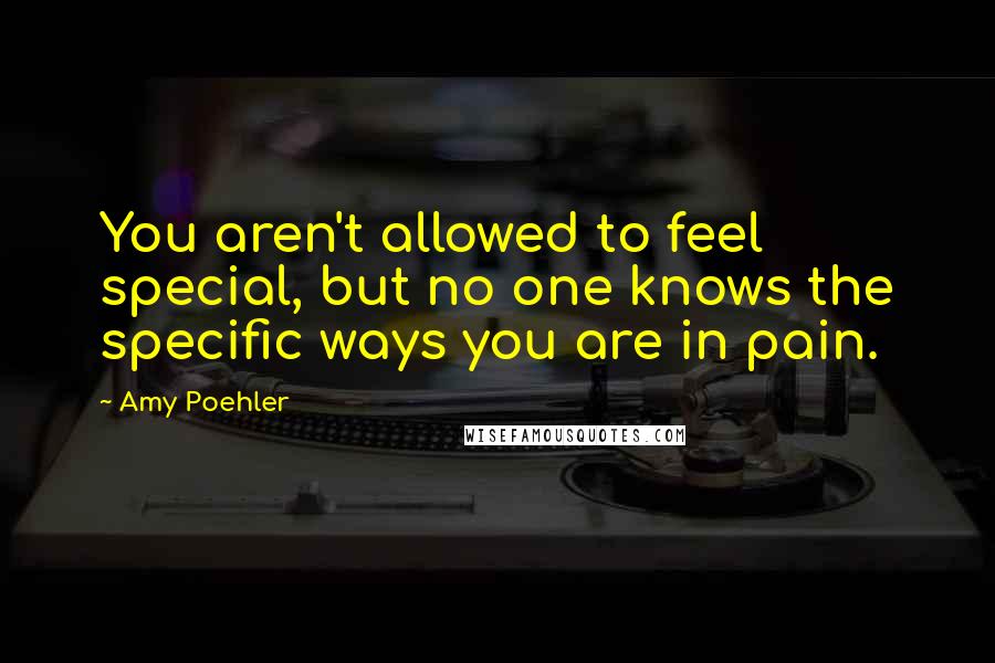 Amy Poehler Quotes: You aren't allowed to feel special, but no one knows the specific ways you are in pain.