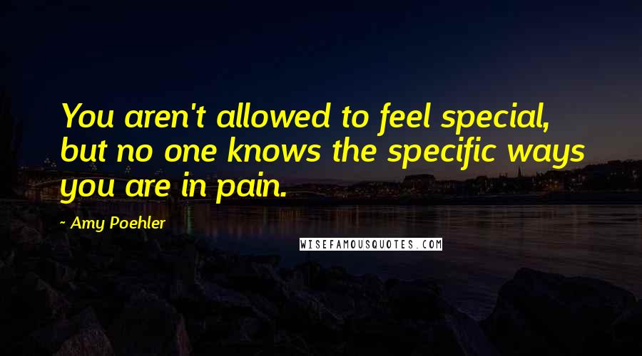 Amy Poehler Quotes: You aren't allowed to feel special, but no one knows the specific ways you are in pain.