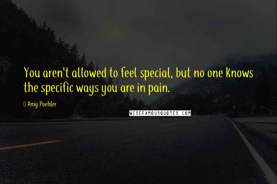 Amy Poehler Quotes: You aren't allowed to feel special, but no one knows the specific ways you are in pain.