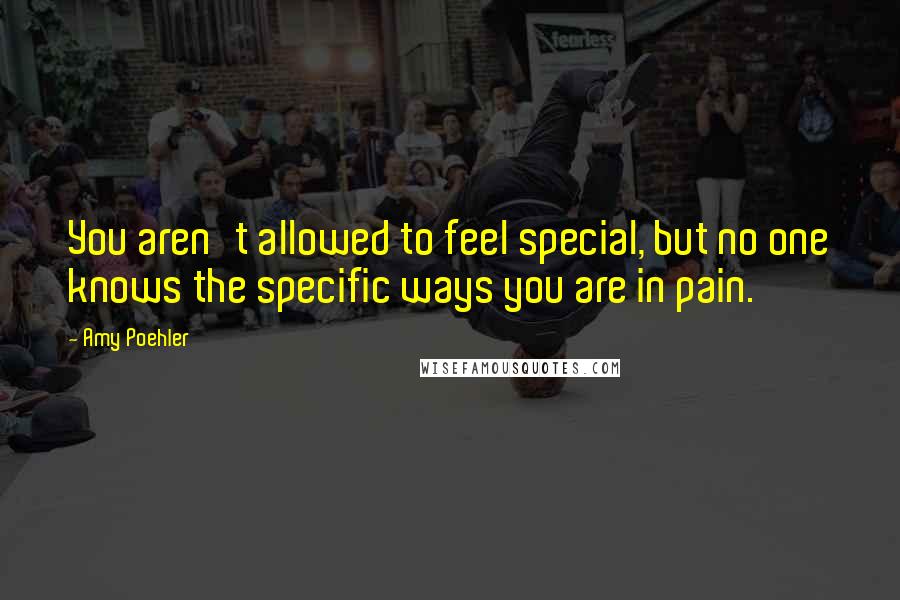 Amy Poehler Quotes: You aren't allowed to feel special, but no one knows the specific ways you are in pain.