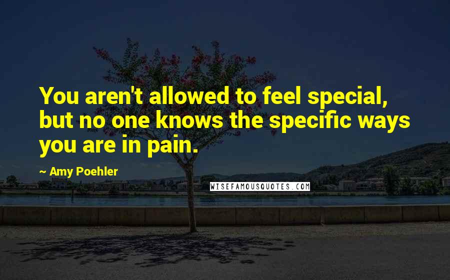 Amy Poehler Quotes: You aren't allowed to feel special, but no one knows the specific ways you are in pain.