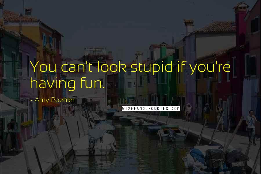 Amy Poehler Quotes: You can't look stupid if you're having fun.