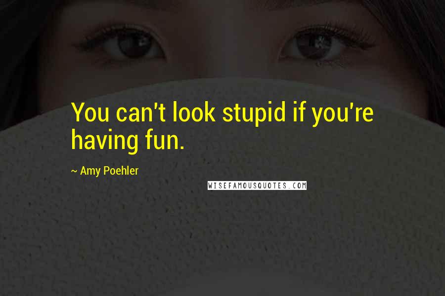 Amy Poehler Quotes: You can't look stupid if you're having fun.