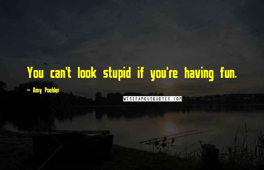 Amy Poehler Quotes: You can't look stupid if you're having fun.