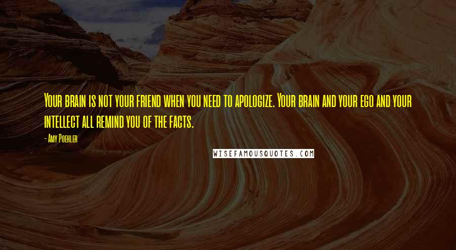 Amy Poehler Quotes: Your brain is not your friend when you need to apologize. Your brain and your ego and your intellect all remind you of the facts.