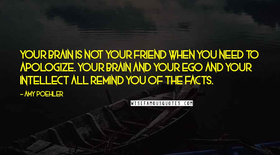Amy Poehler Quotes: Your brain is not your friend when you need to apologize. Your brain and your ego and your intellect all remind you of the facts.
