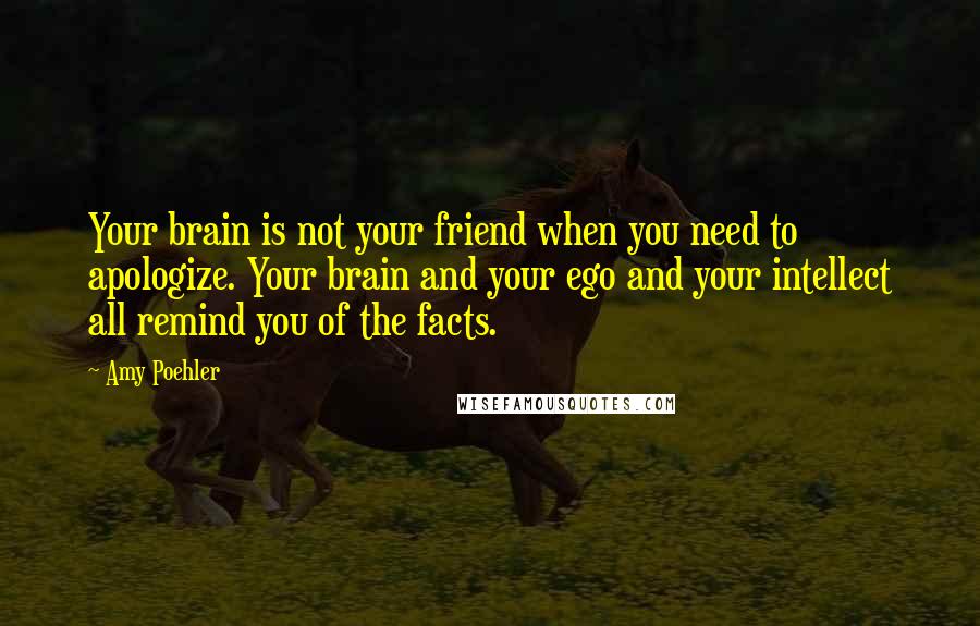 Amy Poehler Quotes: Your brain is not your friend when you need to apologize. Your brain and your ego and your intellect all remind you of the facts.