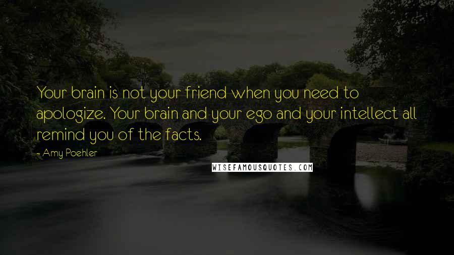 Amy Poehler Quotes: Your brain is not your friend when you need to apologize. Your brain and your ego and your intellect all remind you of the facts.