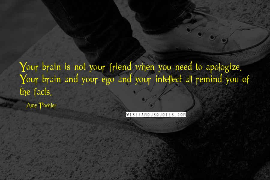 Amy Poehler Quotes: Your brain is not your friend when you need to apologize. Your brain and your ego and your intellect all remind you of the facts.